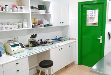 Clínica Veterinaria Monforte interior veterinaria
